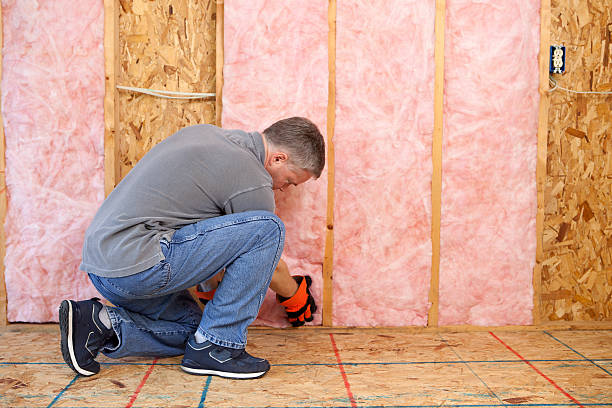Best Geographic-Specific Insulation Services in Elmore, AL