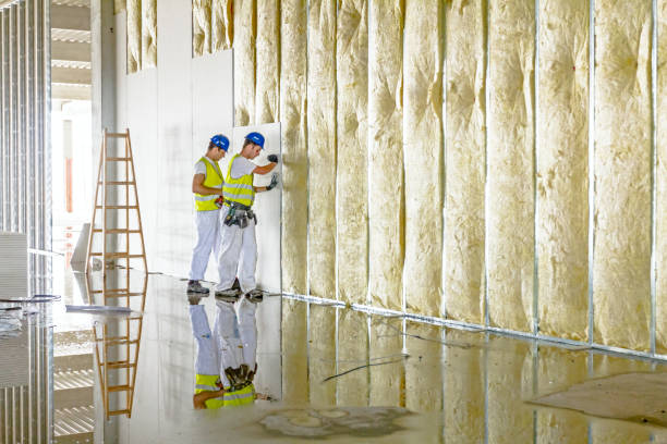 Best Specialized Insulation Services in Elmore, AL